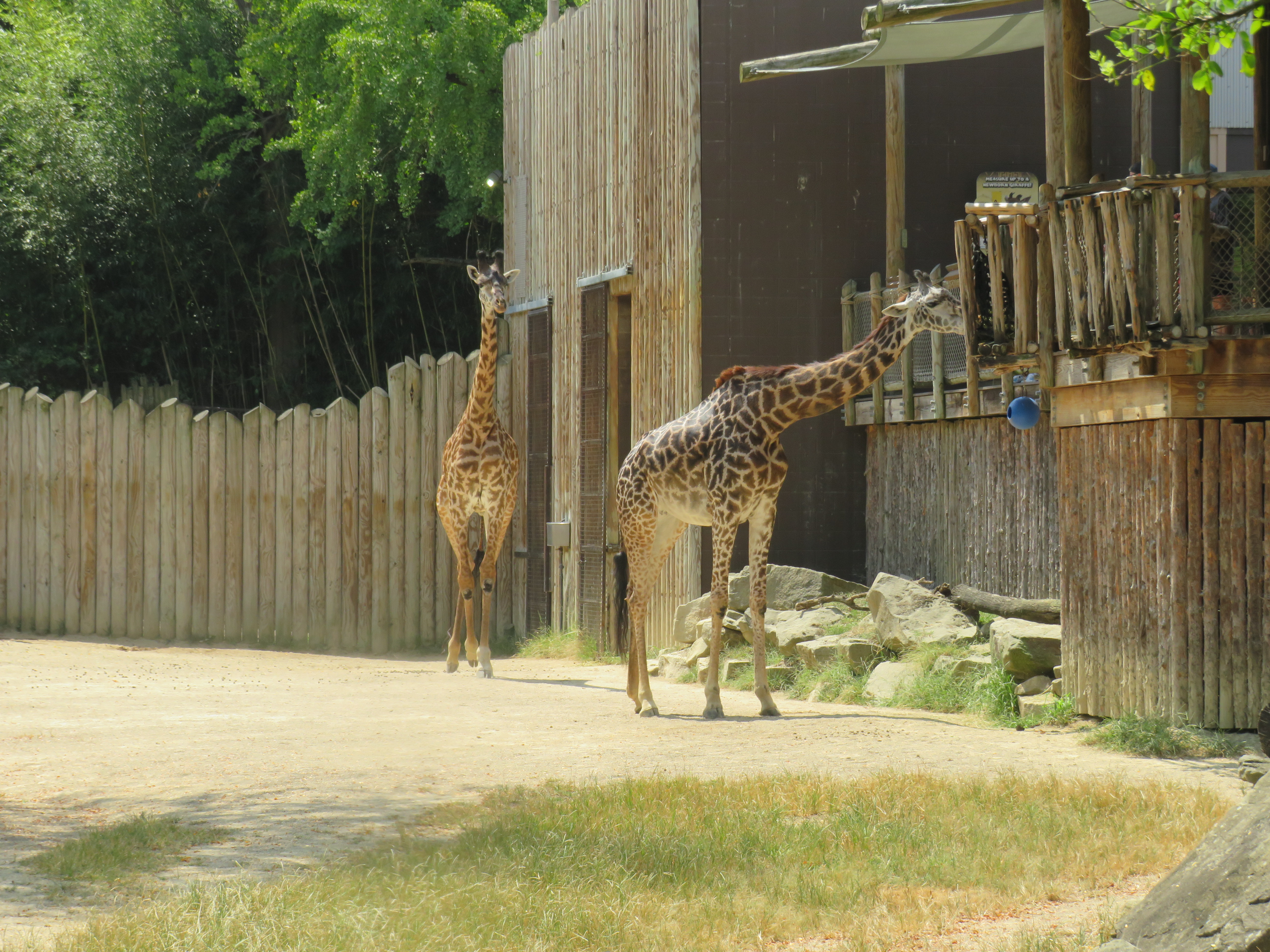 Zoos In Ohio The Cincinnati Zoo and Botanical Gardens, Cincinnati, Ohio – John ...